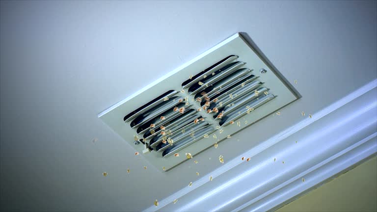 Best Dryer Vent Cleaning Services  in Llender, CA